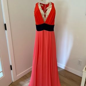 Full Length BCBG dress